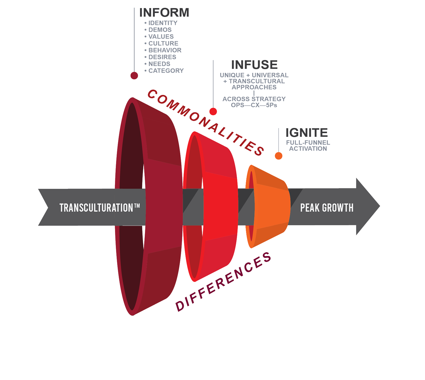 Transculturation Process Model
